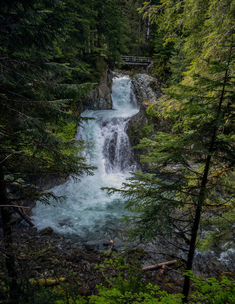 Stunning Ohanapecosh River Falls on a summer afternoon in a pristine old growth forest with a bridge at the Snoqualmie National Forest Washington State