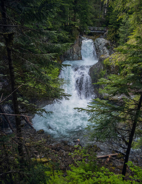 Stunning Ohanapecosh River Falls on a summer afternoon in a pristine old growth forest with a bridge at the Snoqualmie National Forest Washington State