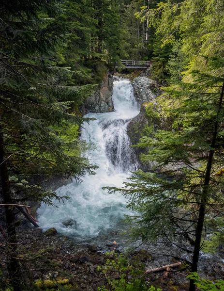 Ohromující Ohanapecosh River Falls Letním Odpoledni Nedotčeném Starém Lese Mostem — Stock fotografie