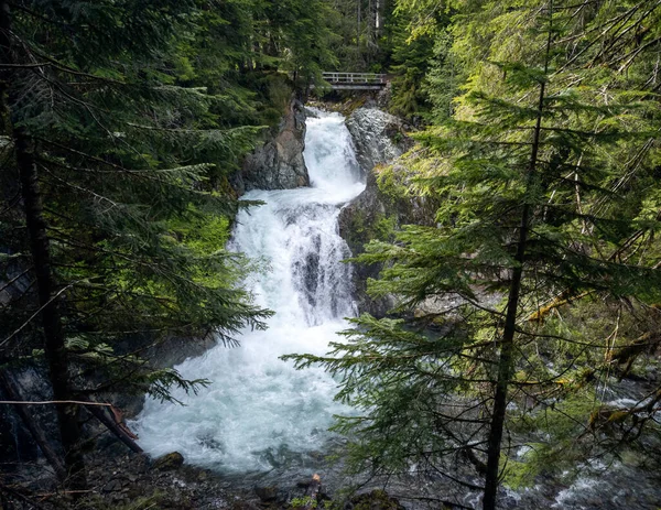 Ohromující Ohanapecosh River Falls Letním Odpoledni Nedotčeném Starém Lese Mostem — Stock fotografie