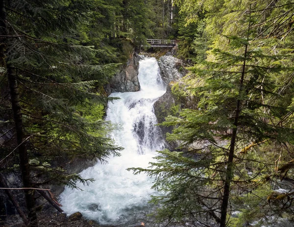 Stunning Ohanapecosh River Falls Summer Afternoon Pristine Old Growth Forest — Stock Photo, Image