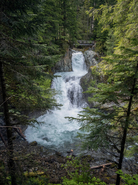 Stunning Ohanapecosh River Falls on a summer afternoon in a pristine old growth forest with a bridge at the Snoqualmie National Forest Washington State