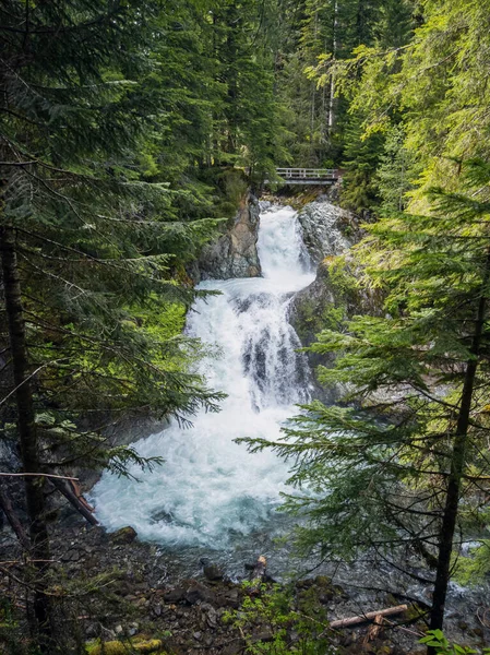 Ohromující Ohanapecosh River Falls Letním Odpoledni Nedotčeném Starém Lese Mostem — Stock fotografie