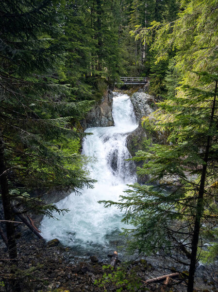 Stunning Ohanapecosh River Falls on a summer afternoon in a pristine old growth forest with a bridge at the Snoqualmie National Forest Washington State