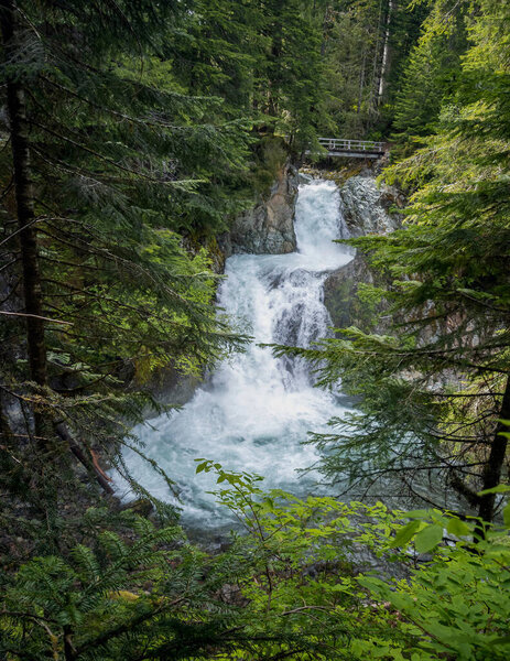 Stunning Ohanapecosh River Falls on a summer afternoon in a pristine old growth forest with a bridge at the Snoqualmie National Forest Washington State