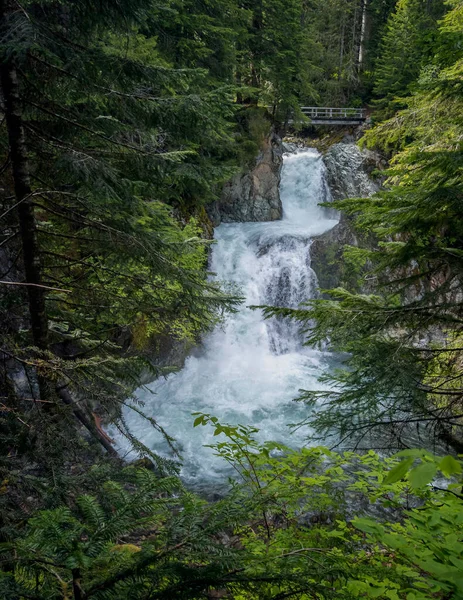Impresionante Ohanapecosh River Falls Una Tarde Verano Bosque Prístino Con — Foto de Stock