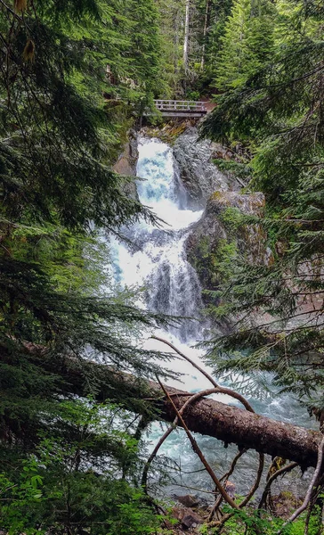 Impresionante Ohanapecosh River Falls Una Tarde Verano Bosque Prístino Con — Foto de Stock