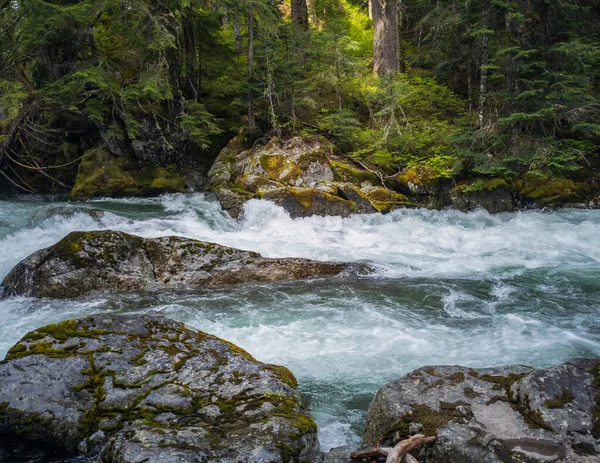 位于华盛顿州雷尼尔山国家公园的一个森林环境中 由冰川喂哺的奇努克瀑布流经巨石而下 — 图库照片