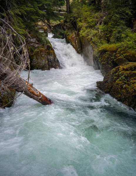 Chinook Cascadas Alimentadas Por Glaciares Que Fluyen Hacia Abajo Través — Foto de Stock