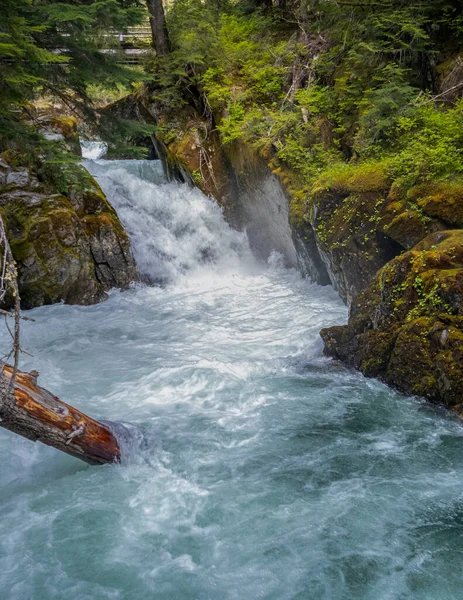 Chinook Cascadas Alimentadas Por Glaciares Que Fluyen Hacia Abajo Través — Foto de Stock