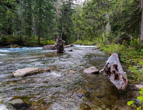 Chinook Cascadas Alimentadas Por Glaciares Que Fluyen Hacia Abajo Través — Foto de Stock