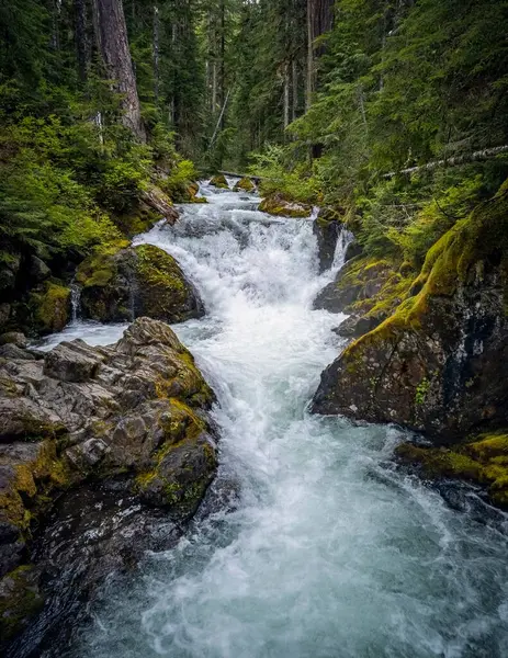 Nádherný Deer Creek Kaskádovité Praskající Přes Balvany Větve Přírodní Horské — Stock fotografie