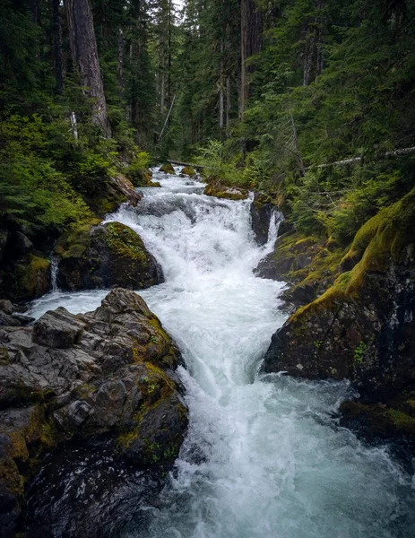 Nádherný Deer Creek Kaskádovité Praskající Přes Balvany Větve Přírodní Horské — Stock fotografie