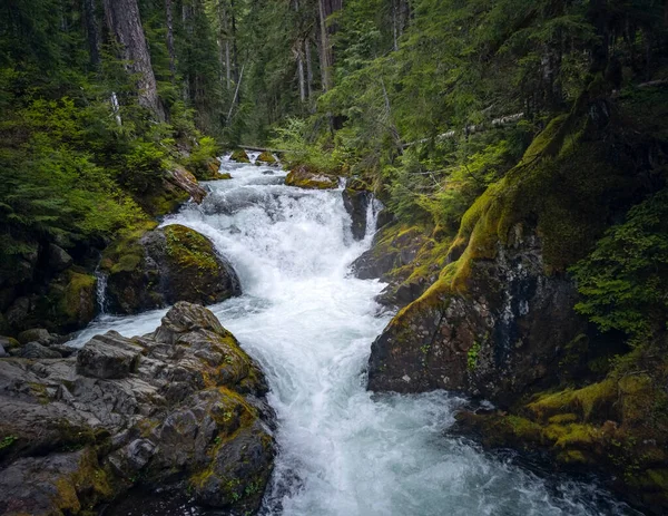 Hermoso Deer Creek Cascada Estallido Través Las Rocas Ramas Con — Foto de Stock