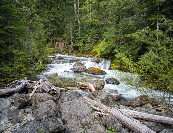 Picturesque setting in a remote forest and a rocky outcrop with a winding creek in the Pacific Northwest in late spring