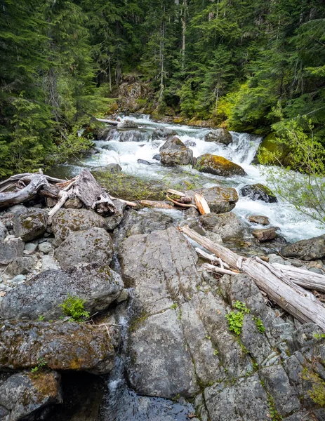 Picturesque setting in a remote forest and a rocky outcrop with a winding creek in the Pacific Northwest in late spring