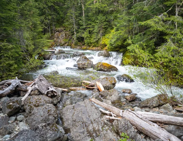 Malebné Prostředí Odlehlém Lese Skalnatém Výběžku Klikatým Potokem Severozápadě Tichého — Stock fotografie