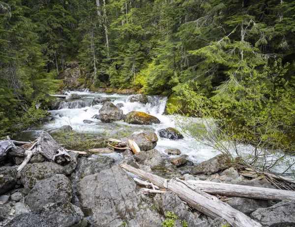 Picturesque setting in a remote forest and a rocky outcrop with a winding creek in the Pacific Northwest in late spring