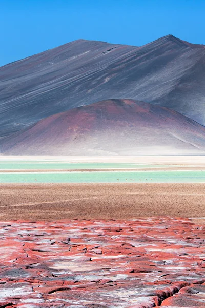 Rocas Rojas Piedras Rojas Salar Aguas Calientes Atacama Chile — Foto de Stock