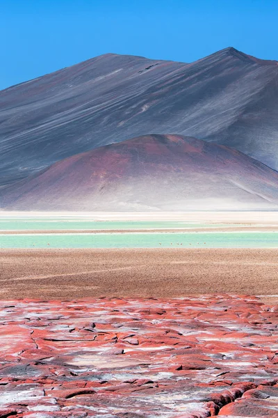 Rode Rotsen Piedras Rojas Salar Aguas Calientes Atacama Chili Stockfoto