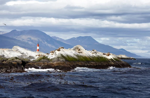 Faro Les Eclaireurs Faro Fin Del Mundo Canal Beagle Ushuaia — Foto de Stock