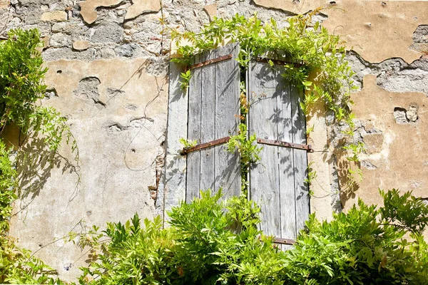 Ivy Groeit Een Verlaten Huis Lagrasse Zuid Frankrijk Stockfoto