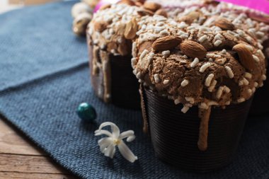 Colomba - İtalyan Paskalya güvercin kek eski rustik gri gemide. Seçici odak, serbest metin alanı.