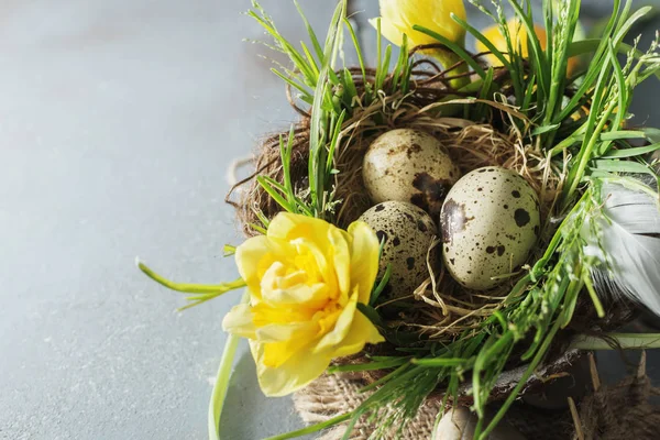 素朴な基板の卵終わり春の花とイースター組成 — ストック写真