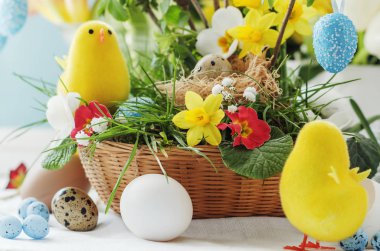 Küçük civciv, bahar çiçekleri ve renkli yumurta Paskalya kompozisyonu.