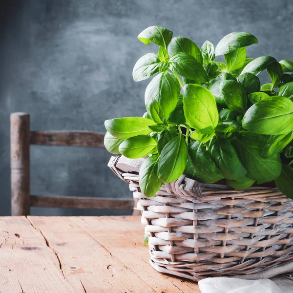 Basilic Frais Dans Panier Sur Table Rustique Bois — Photo