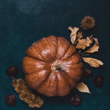 Yaprak ve kestane ile Sonbahar kabak.