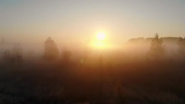 Luchtvlucht over het veld door de ochtendmist naar het ochtendgloren — Stockvideo
