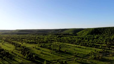 Genç ağaçlar ve karışık ormanlı tepeler üzerinde uçan hava.