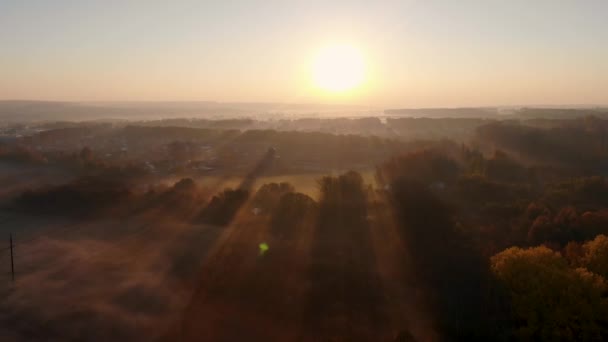 Voo aéreo sobre o parque coberto com nevoeiro da manhã. Tomado por drone ao nascer do sol — Vídeo de Stock