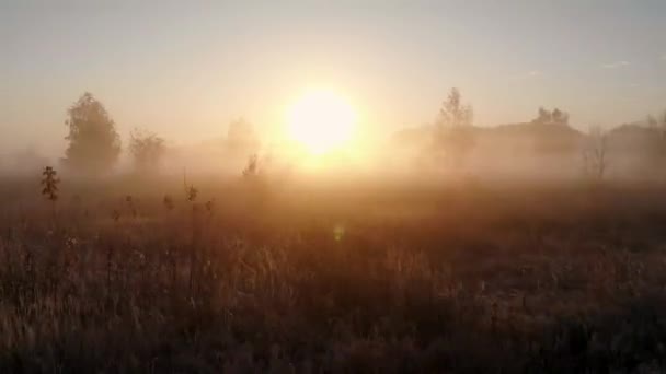 Воздух пролетает над полем через утренний туман к рассвету — стоковое видео