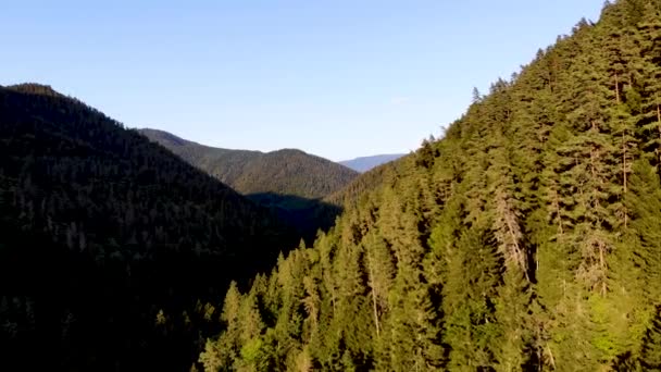 Flug über den Bergwald im Reservat Borjomi, Georgien — Stockvideo