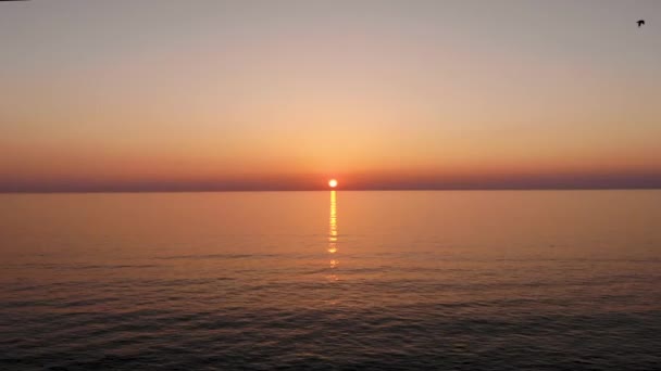 Flight over water forward to the sun at sunset. Seagulls flies right behind — Stock Video