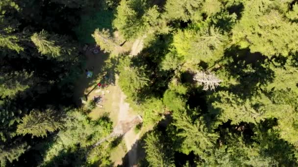 Flygfoto över camping i tallskogen. Tagen av drönare, tittar ner — Stockvideo