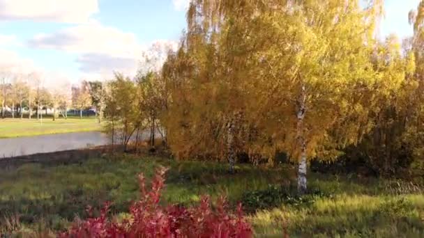 Vol aérien vers le stade Mordovia Arena. Pris par drone à l'automne — Video