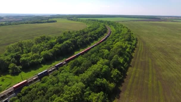 Вид с воздуха на грузовой поезд — стоковое видео