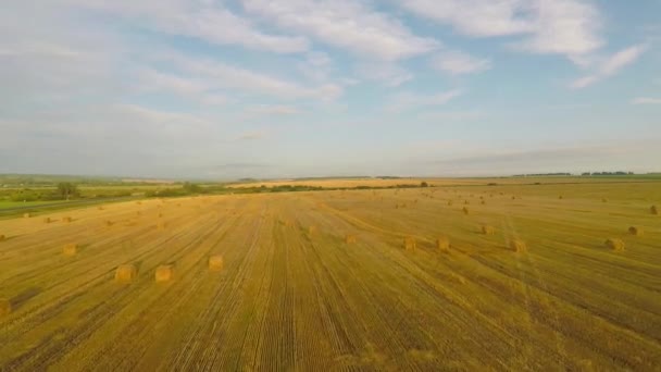 Vuelo aéreo sobre el campo con Haystacks — Vídeos de Stock