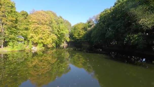 호수 위를 날고 있는 가을 비행기 — 비디오