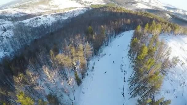 Вид с воздуха на сноубордистов, катающихся в горах . — стоковое видео