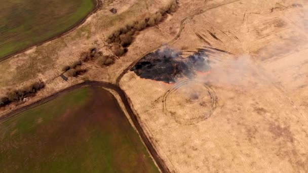 Vol radial aérien au-dessus de l'herbe brûle dans une prairie — Video