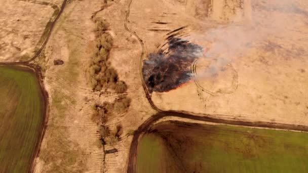 Luchtfoto van het gras brandt in een weide — Stockvideo