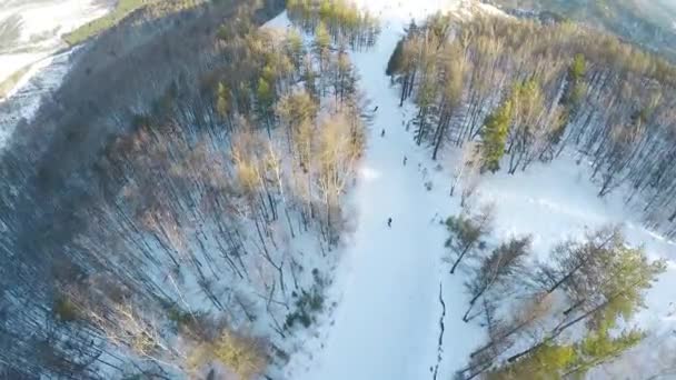 Aerial view of snowboarders riding in the mountains. — ストック動画