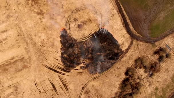 Luchtfoto statisch zicht op het gras brandt in een weide — Stockvideo