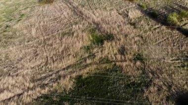 Yüksek voltajlı elektrik hattının hava denetimi. Elektriği kontrol et. İnsansız hava aracı tarafından çekiliyor.