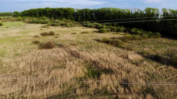 Inspección aérea de la línea eléctrica de alto voltaje. Revisa la electricidad. Tomado por dron — Vídeo de stock