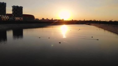 Ördeklerin üzerinde uçan hava, şehrin arka planına karşı suyun üzerinde yüzüyor.